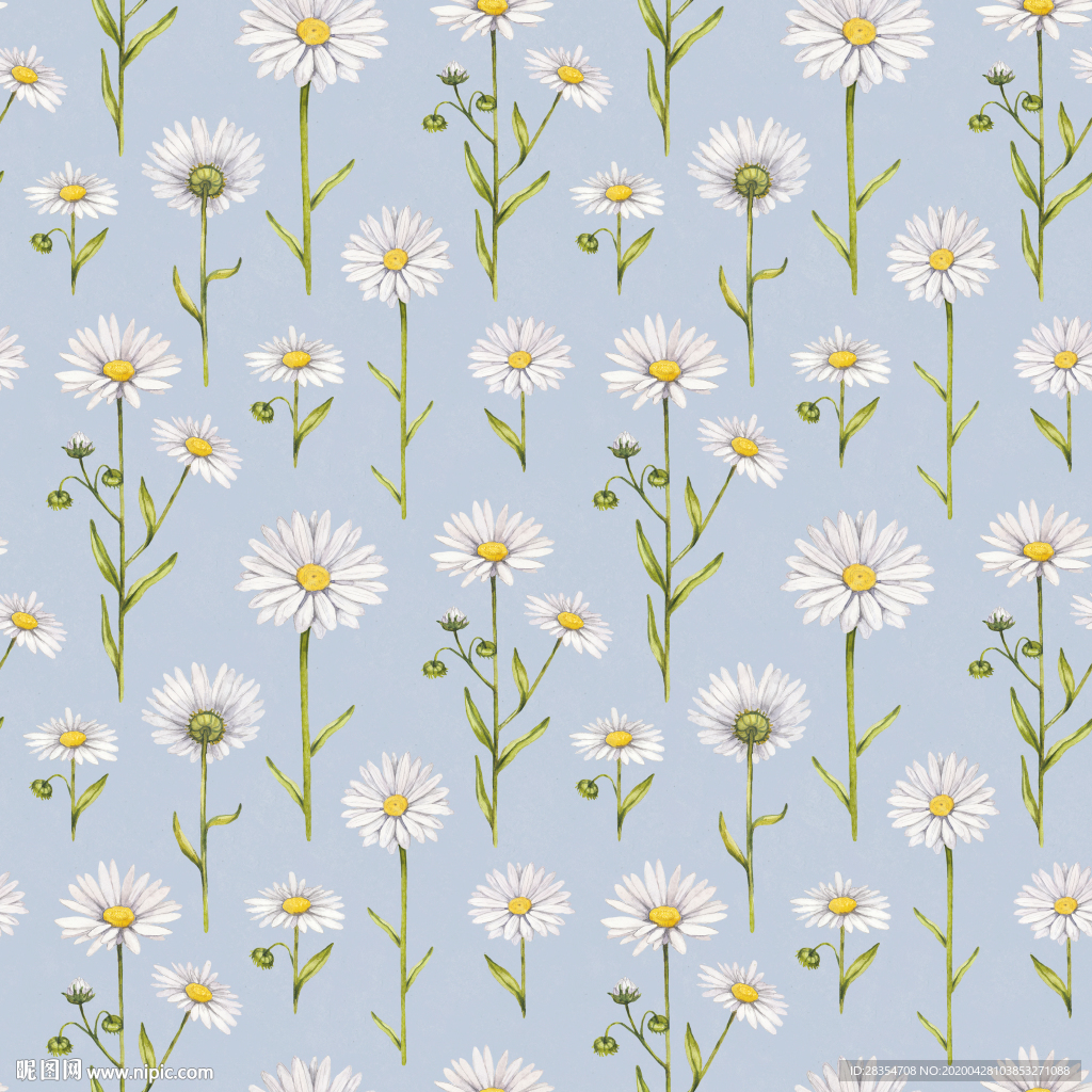 小雏菊 叶子花 清新 设计