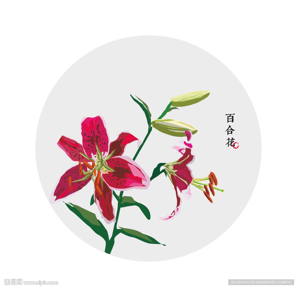 花卉百合花适量高清元素