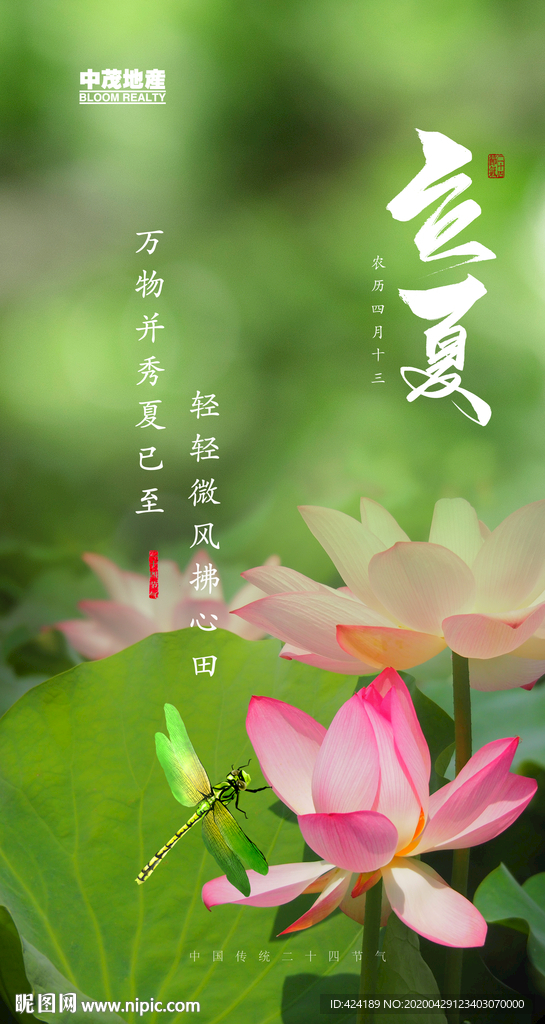 二十四节气立夏微信朋友圈刷屏