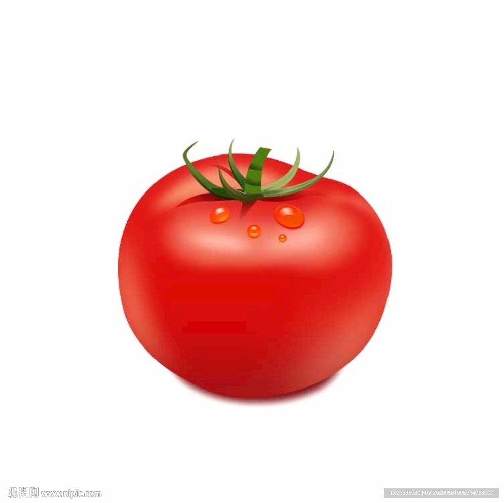 西红柿