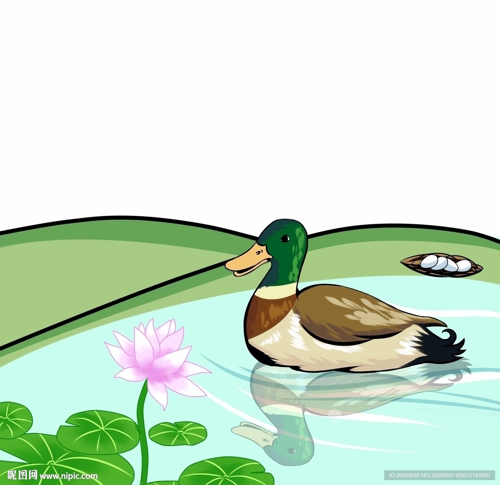 鸭子插画