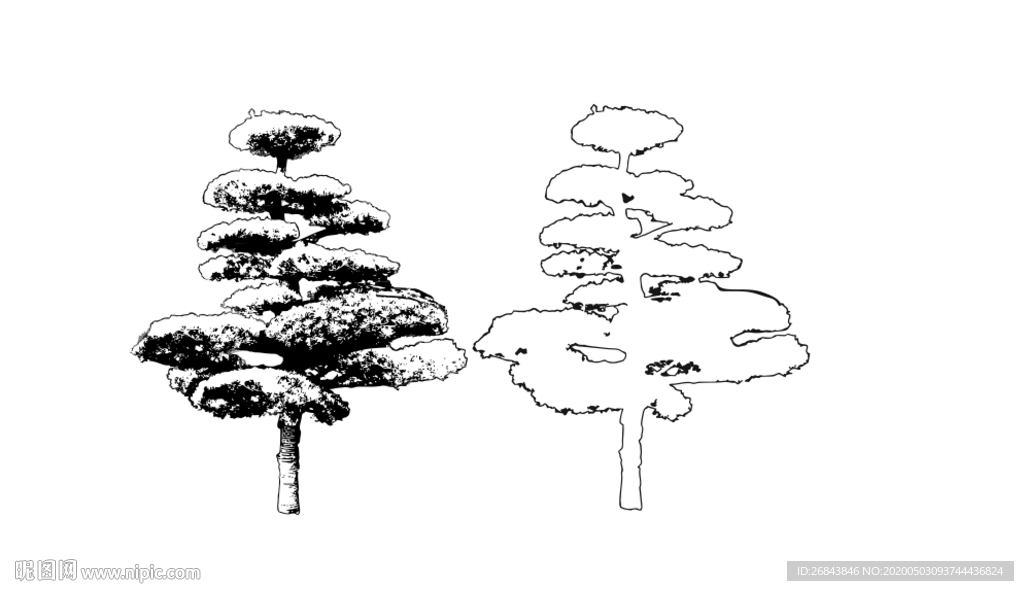 线稿树   罗汉松线稿 线树木