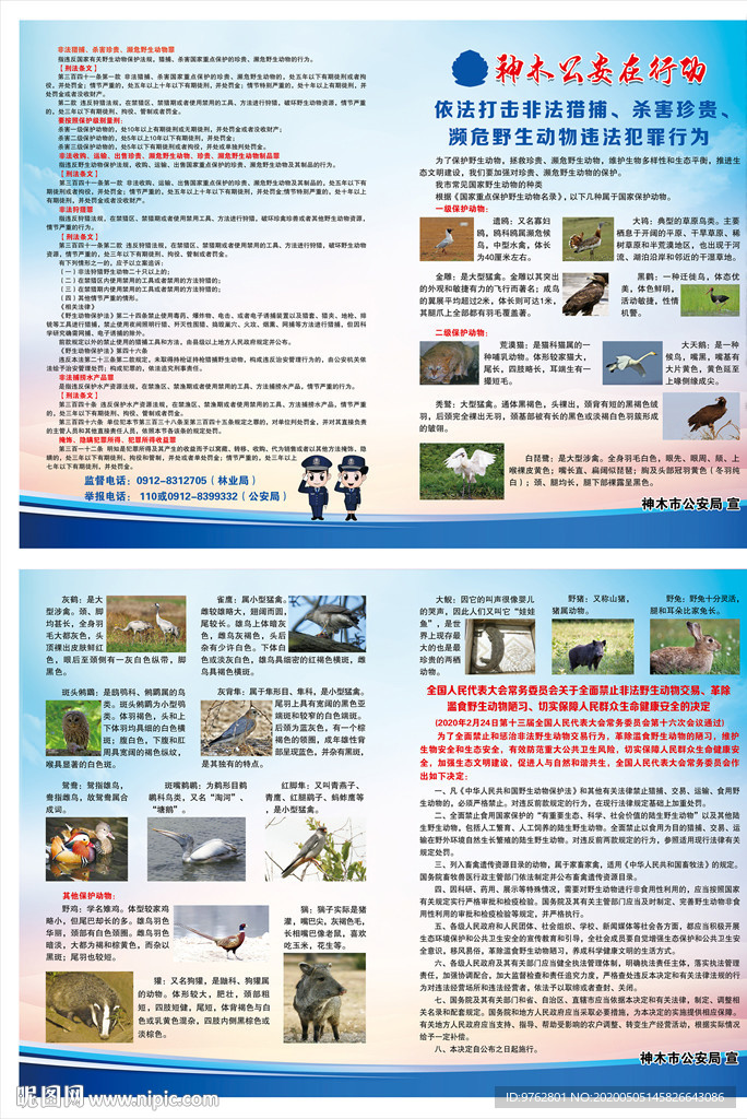 依法打击非法猎捕