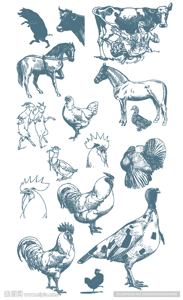马鸡鸭手绘矢量