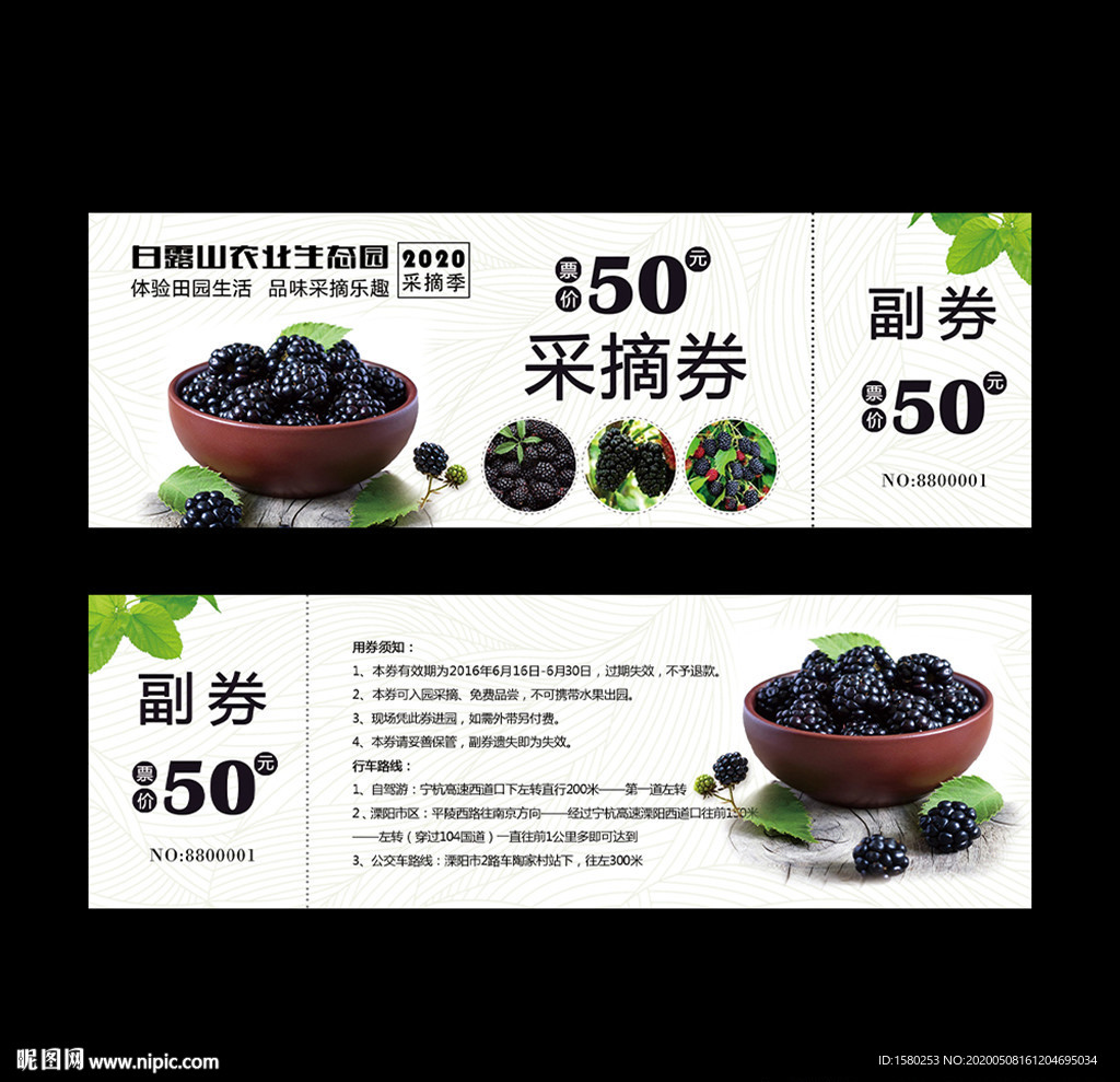 桑葚采摘券