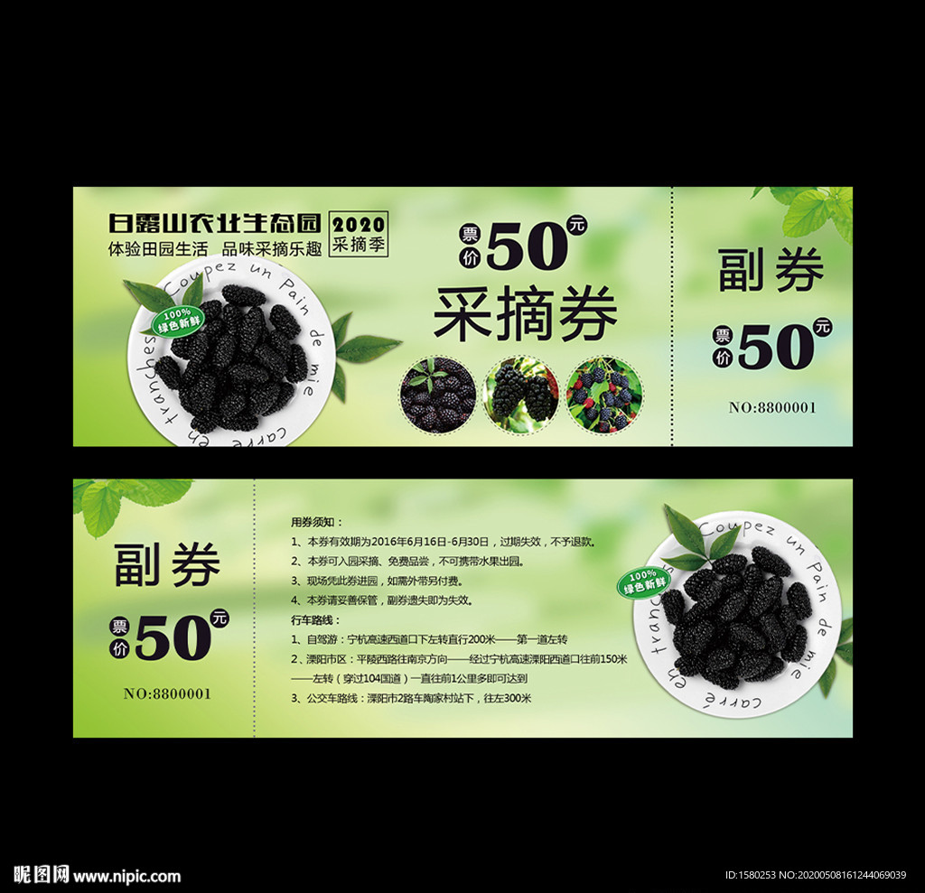 桑葚采摘券