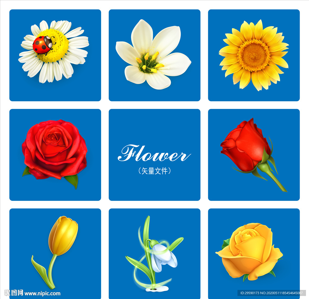 手绘花朵矢量花瓣玫瑰花百合花