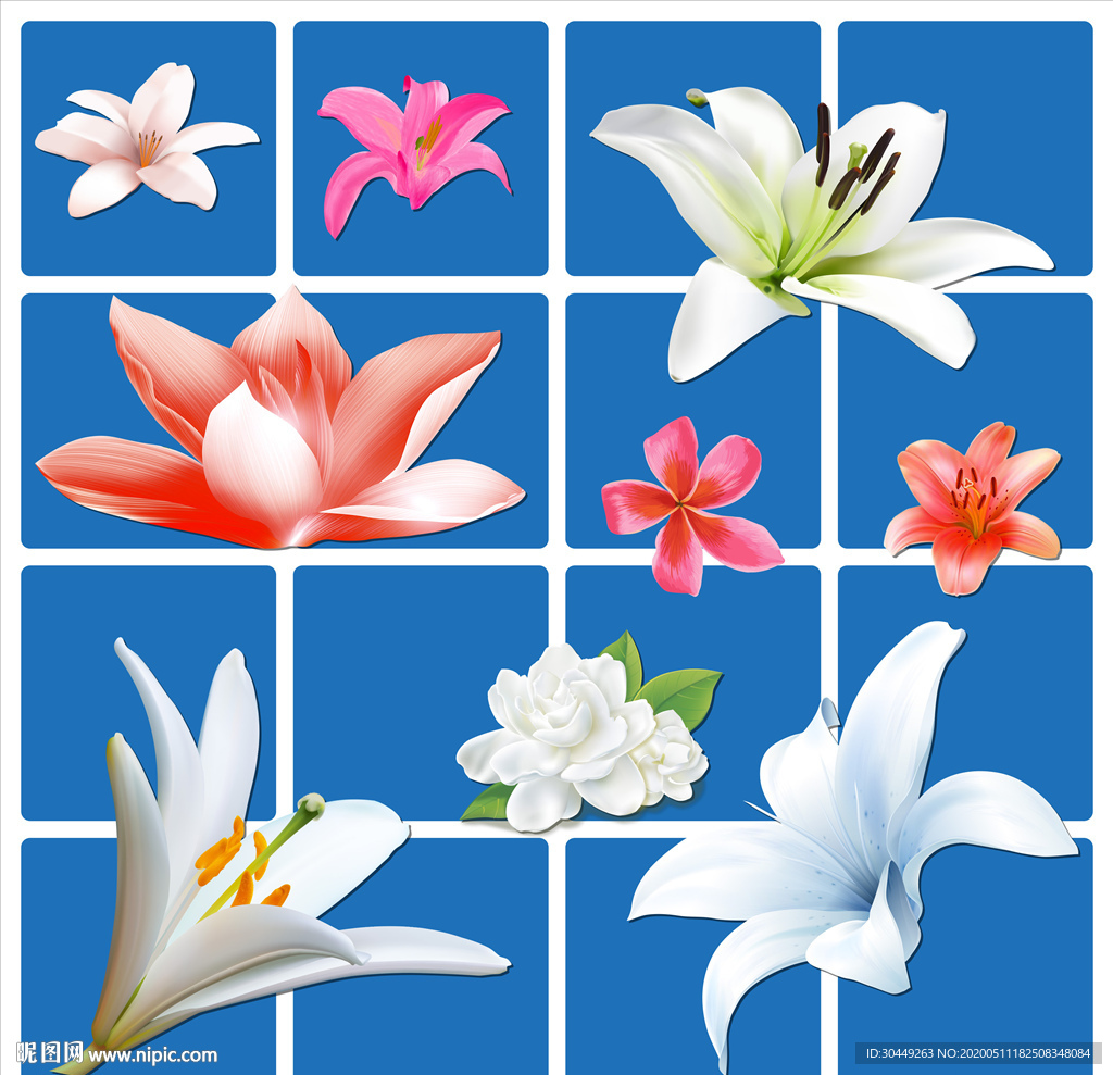 高清花卉手绘花瓣矢量花瓣百合花