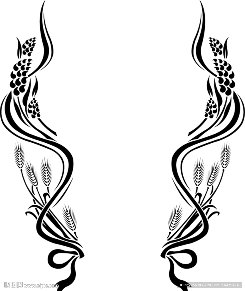 麦穗 矢量麦穗   边框