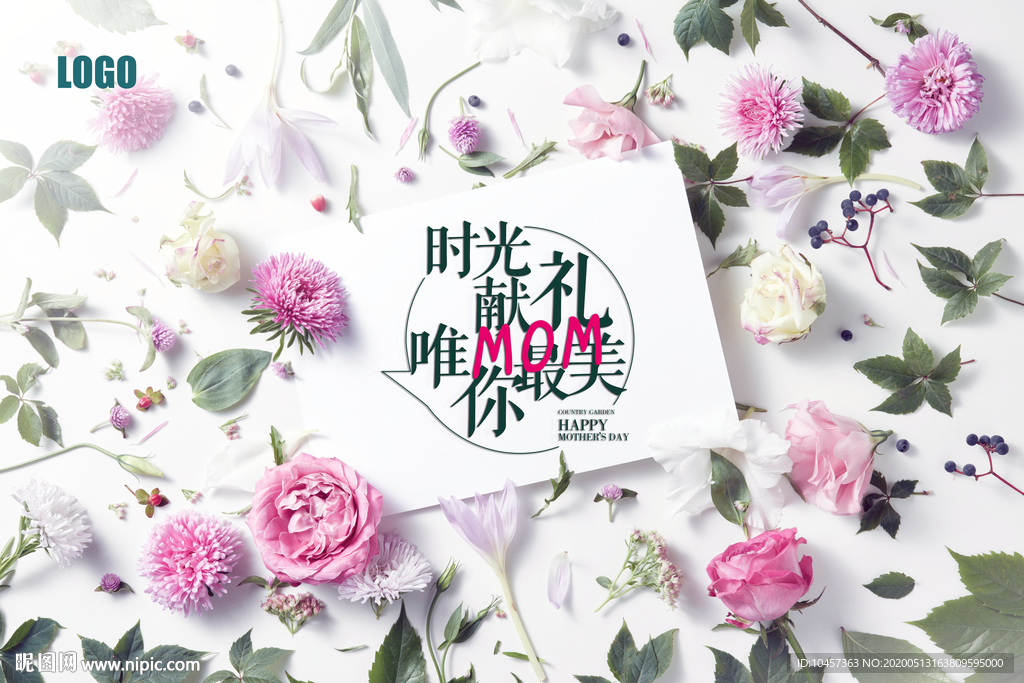 母亲节小清新康乃馨