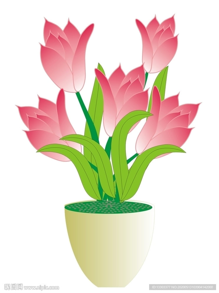 郁金香 鲜花 花草 盆景 植物