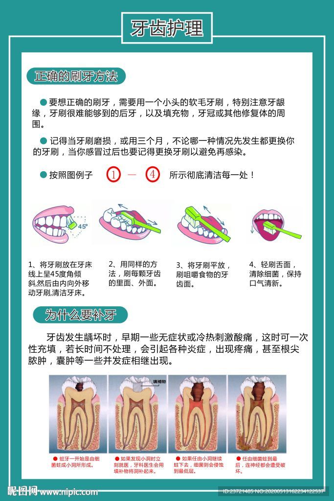 牙齿护理照片