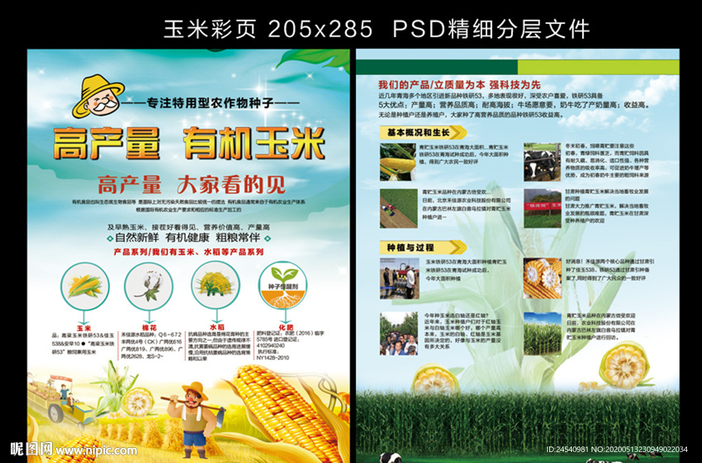 玉米单页 彩页