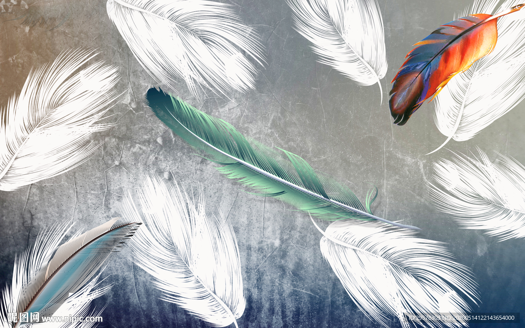 大气羽毛无框画 TIF分层