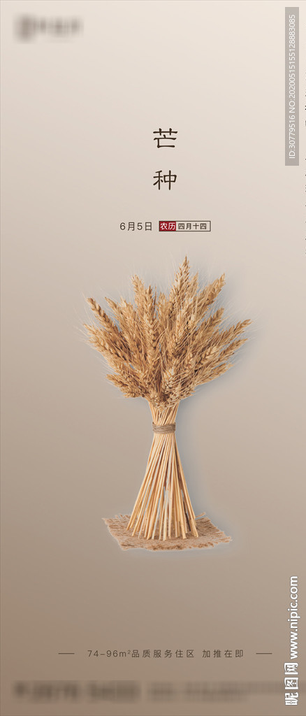 简约大气房地产芒种节气海报