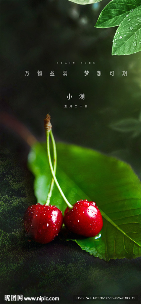 地产项目小满节气微信稿