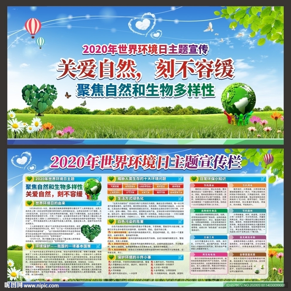 2020年世界环境日主题宣传栏