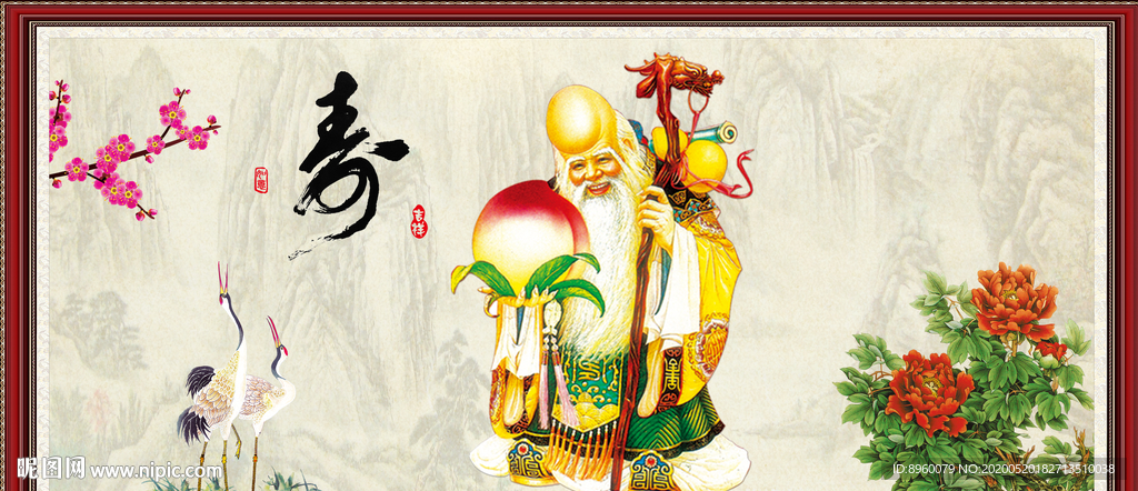 老寿星 南极仙翁