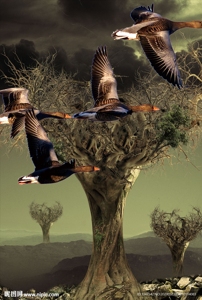 良禽择木而栖 背景画