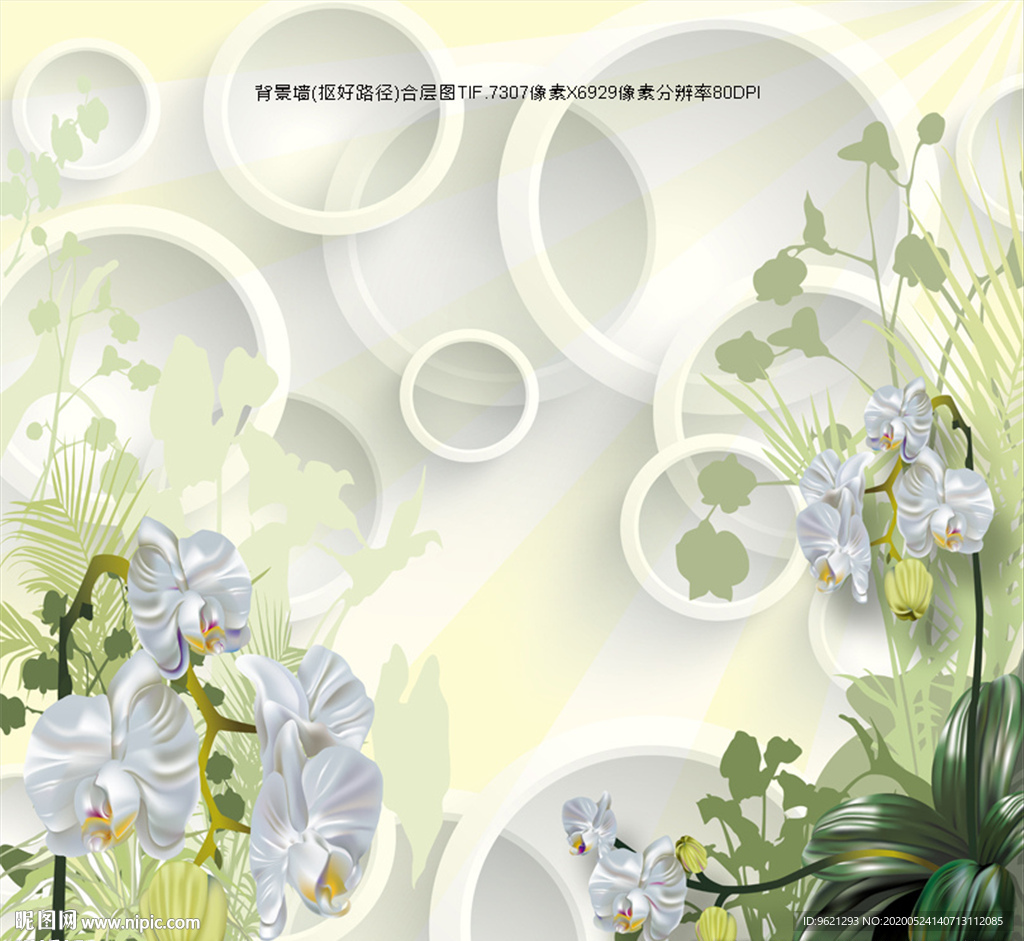 3D花卉圆圈背景墙图片