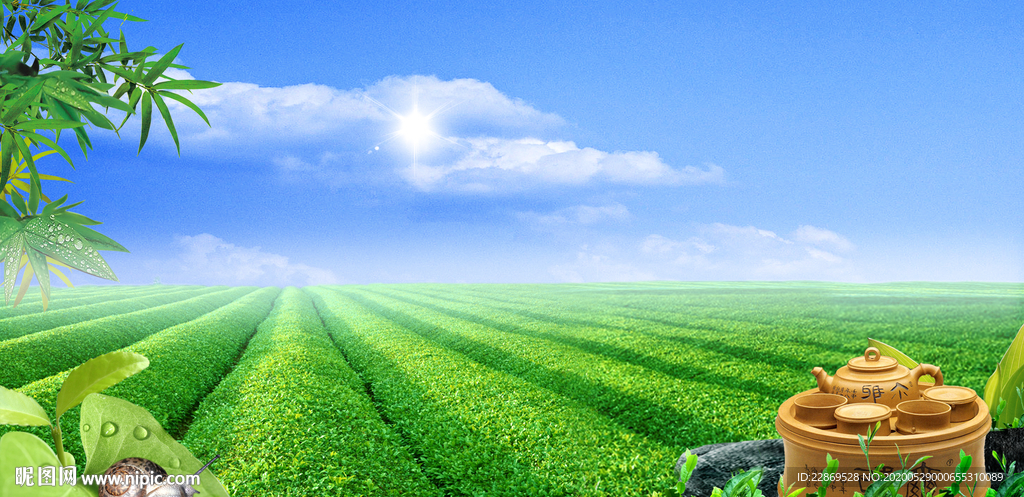 茶园  茶壶  蓝天