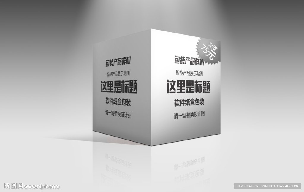 软件包装盒设计样机