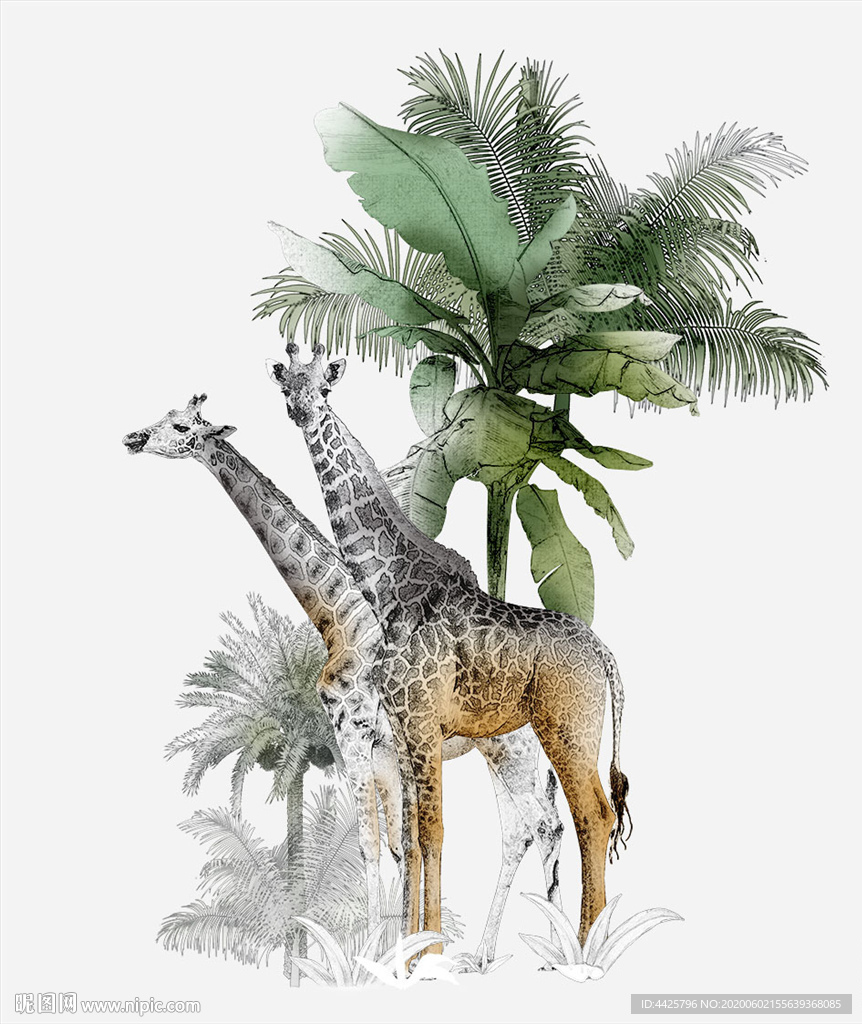 高清手绘长颈鹿花卉热带植物