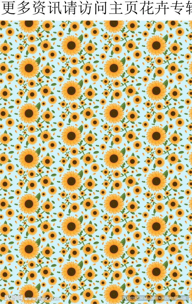 向日葵 菊花 花朵花纹