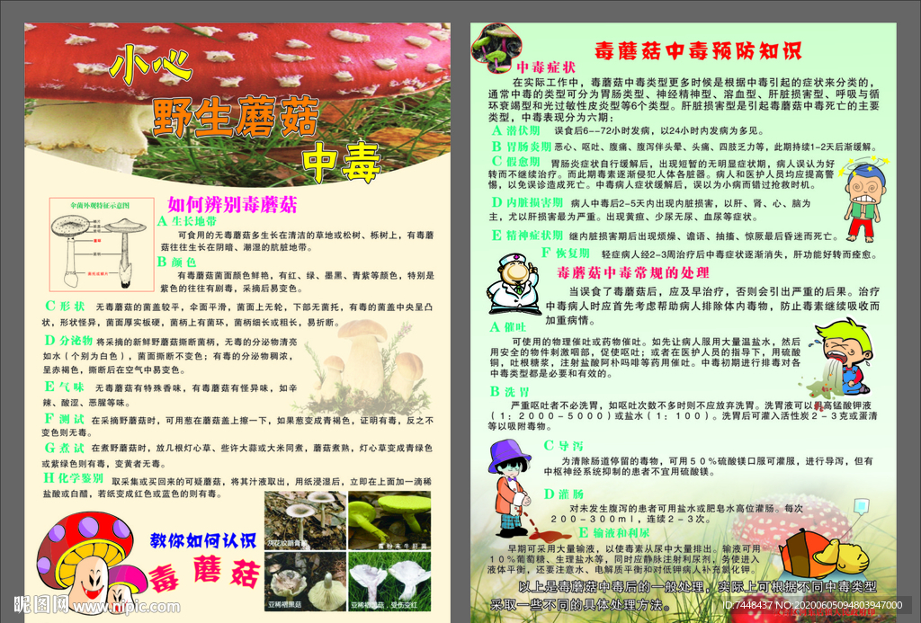 毒蘑菇 食品安全 中毒 彩页