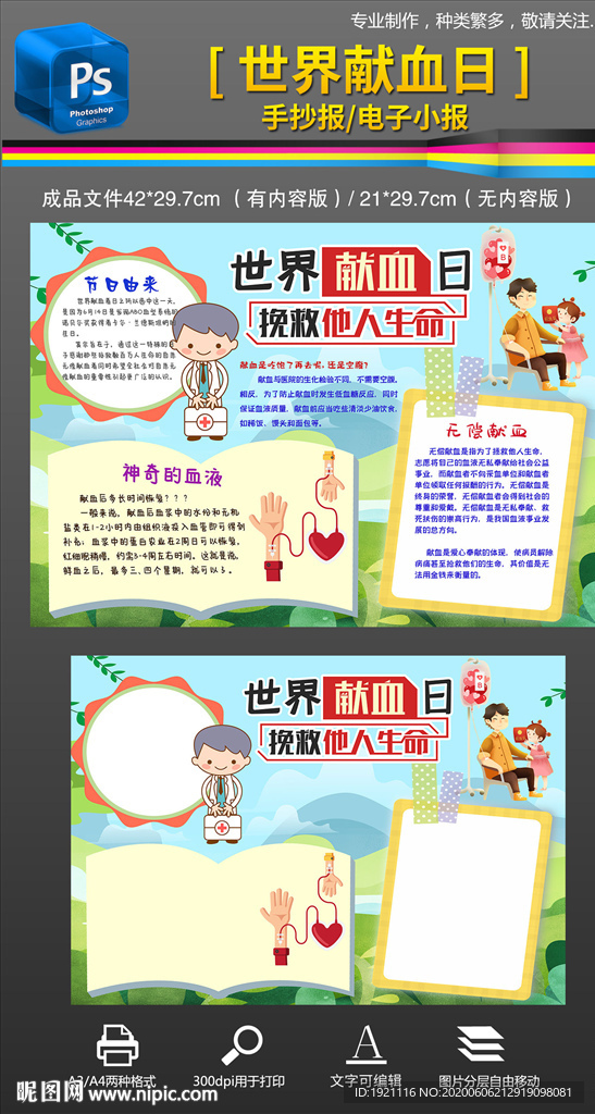 世界献血日手抄报小报