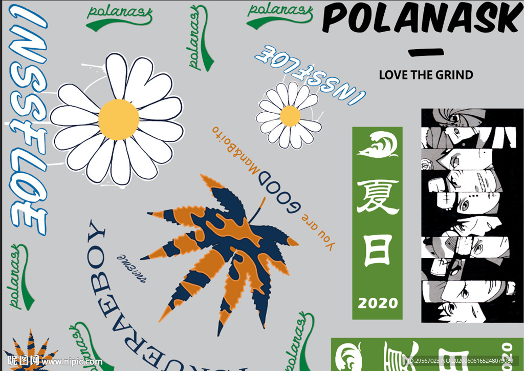 小雏菊 菊花 向日葵 花朵 权