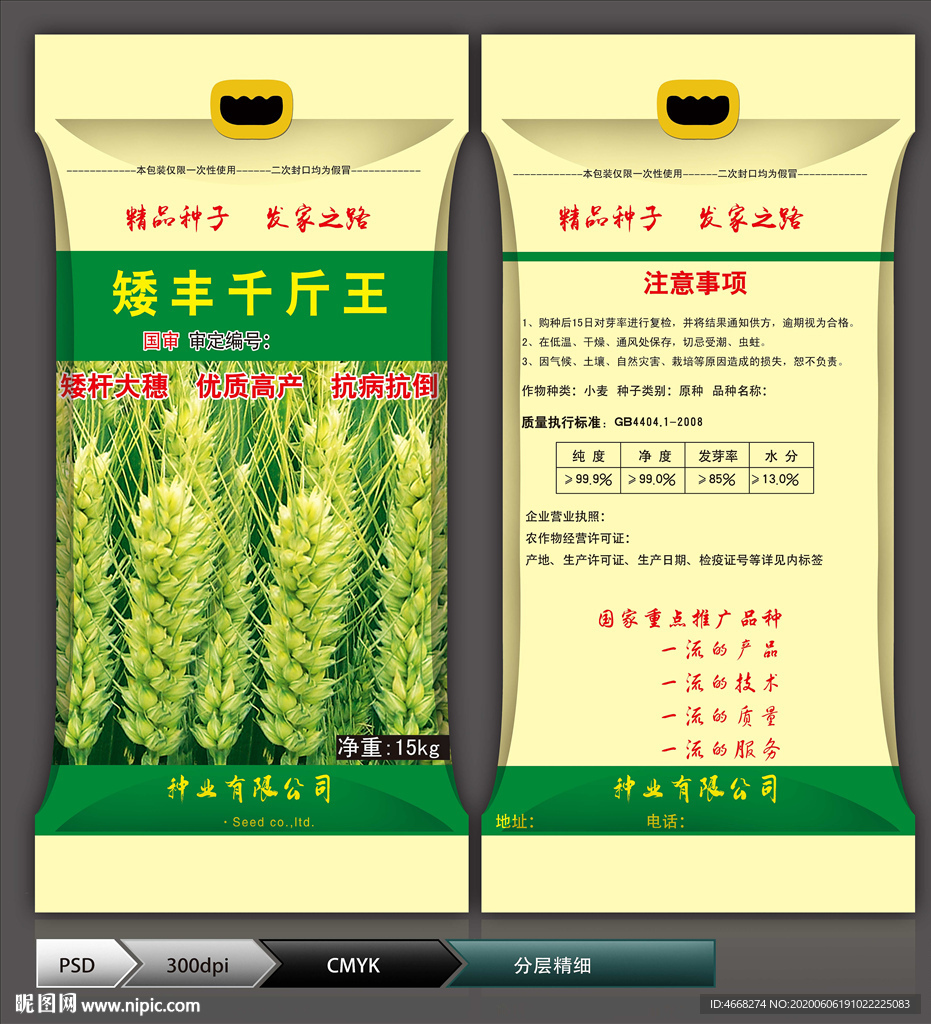 小麦种子(展开图)