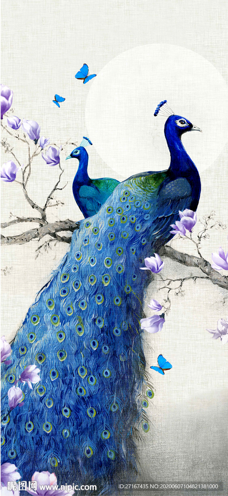 孔雀背景
