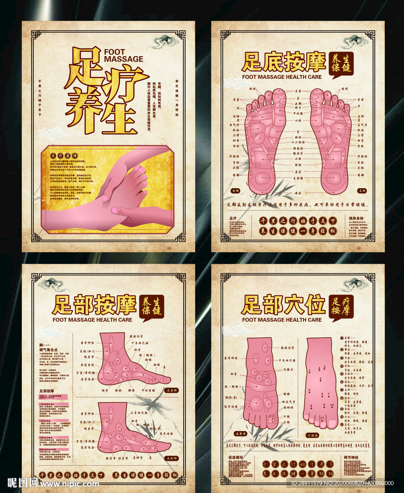 修护护理范围 足底反射区 郑远