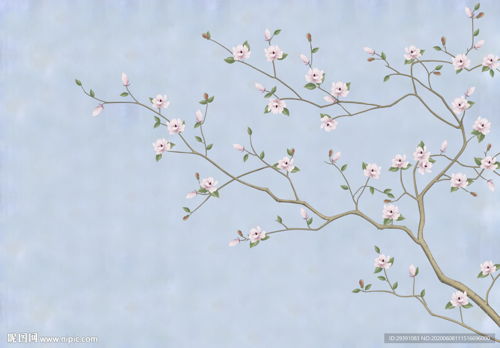 手绘花鸟 工笔画