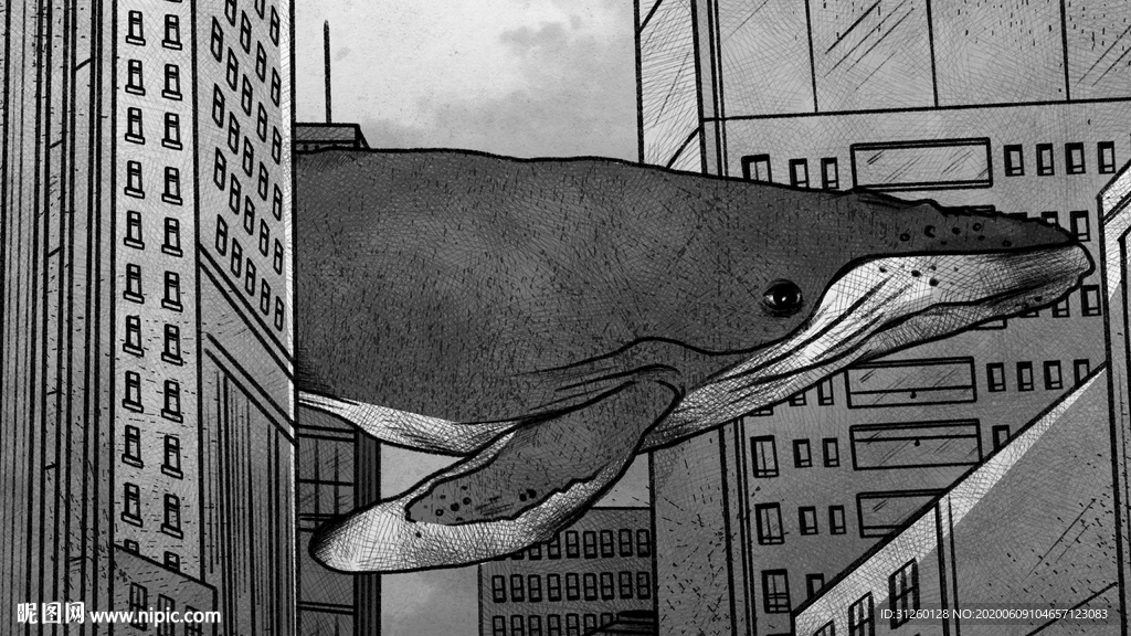 城市鲸鱼背景墙
