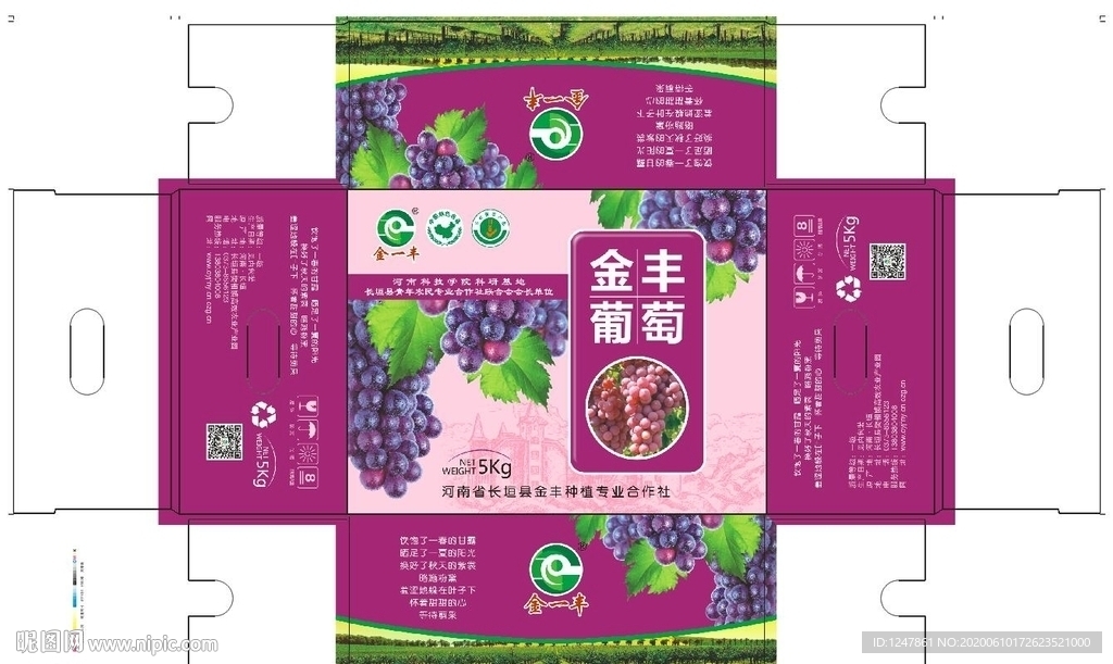 金一丰葡萄盒