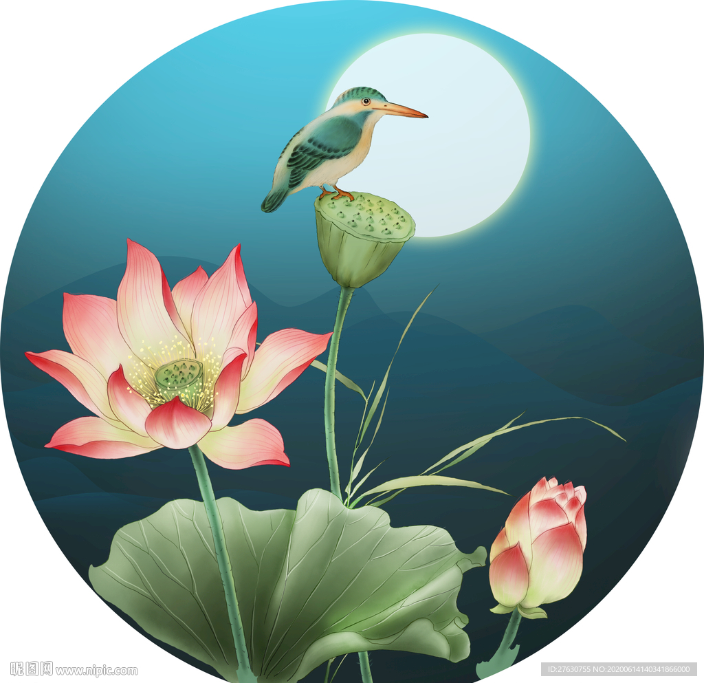 手绘工笔画花鸟