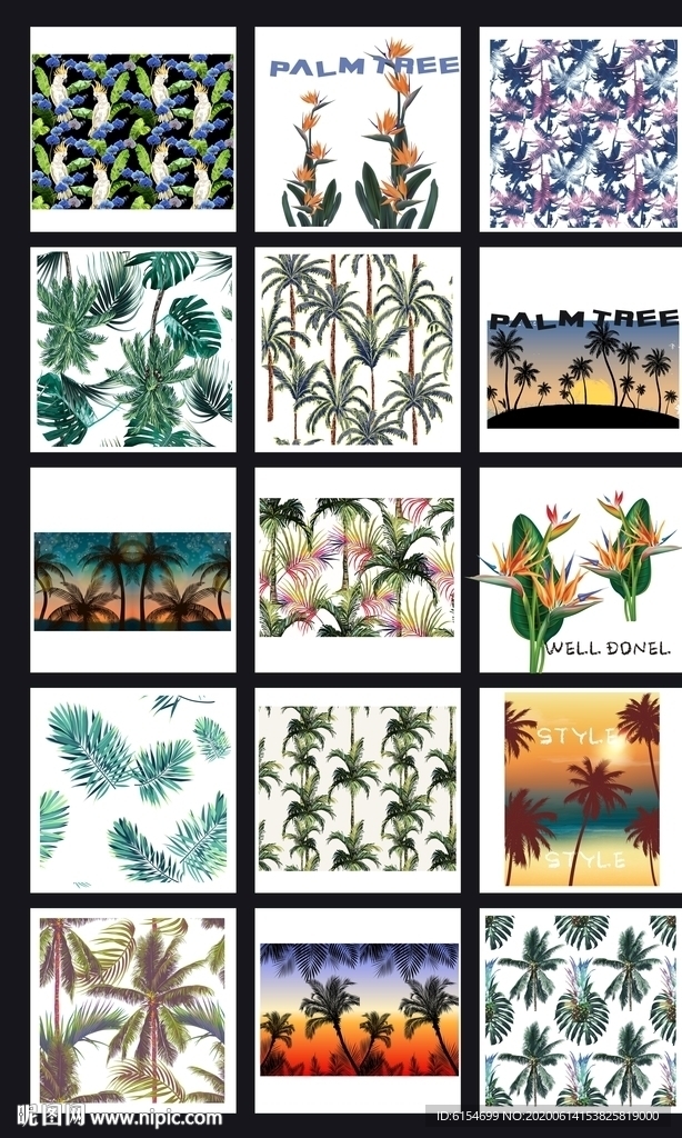 椰子树棕榈树图片