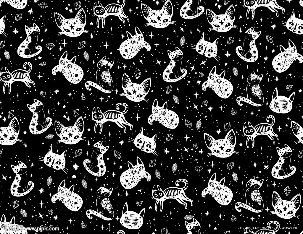 数码印花 女装   猫