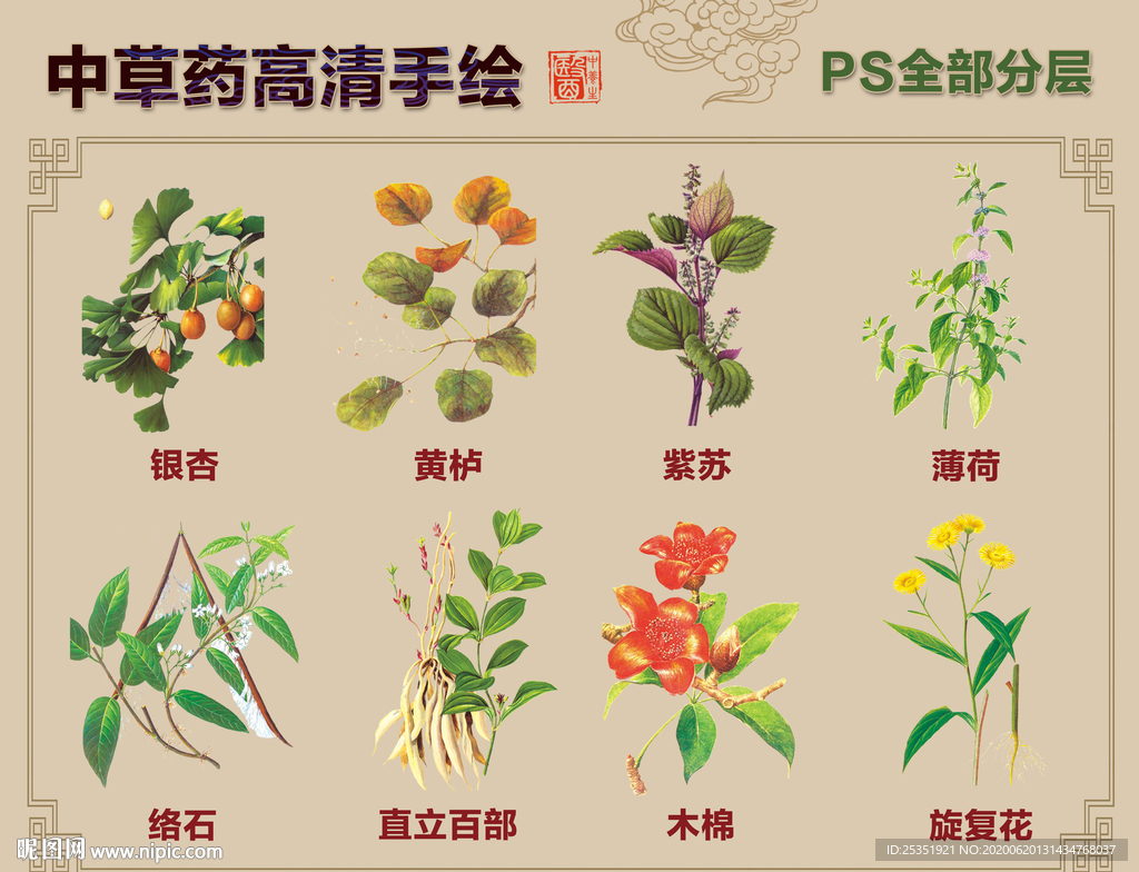 中药草手绘