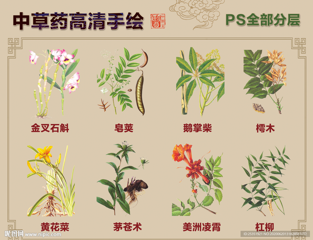 中药草手绘