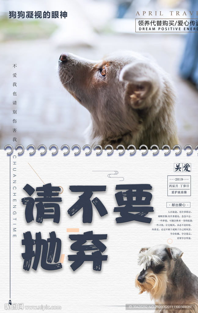 请不要抛弃 流浪动物