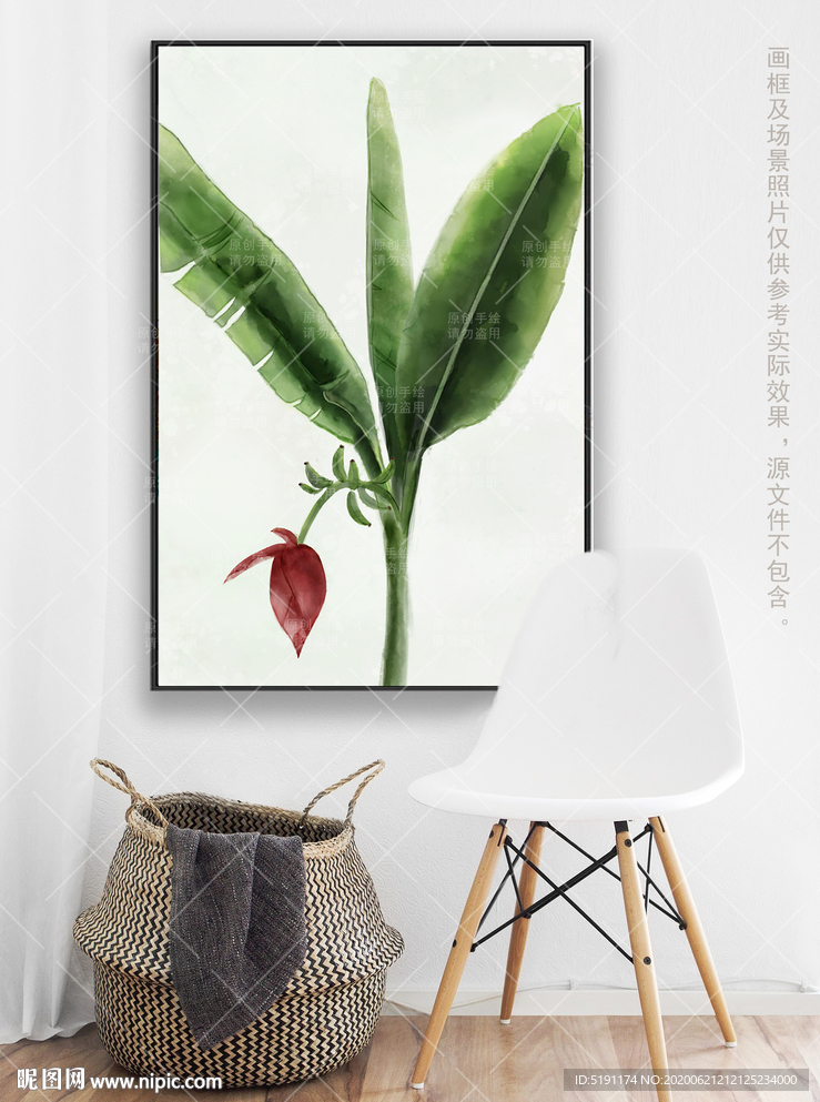 水彩芭蕉 ins风玄关画