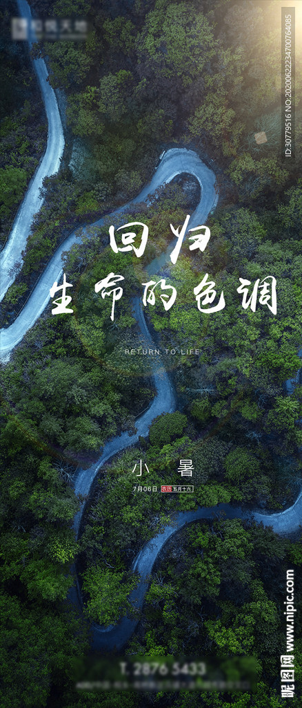 简约房地产小暑二十四节气海报