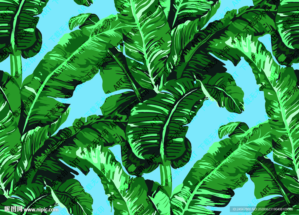 芭蕉叶 矢量 热带叶 数码印花