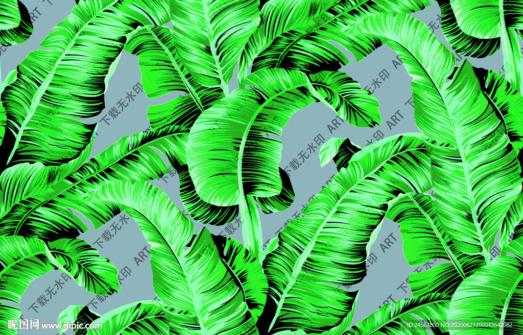 芭蕉叶 热带叶 数码印花扫描版