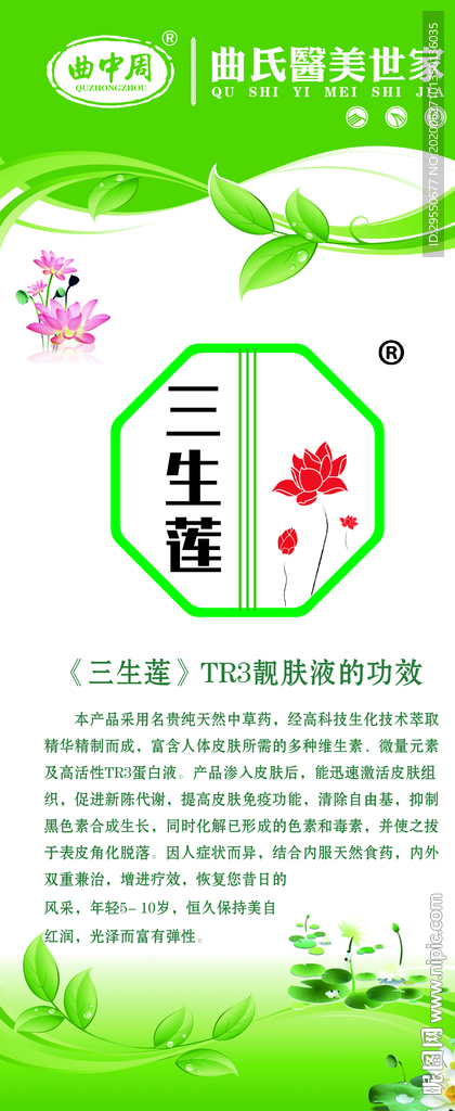 曲中周曲氏医美世家门型展架图片