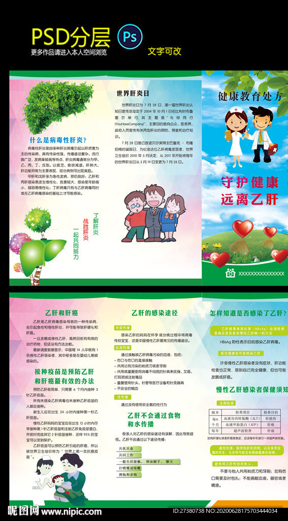 乙肝三折页