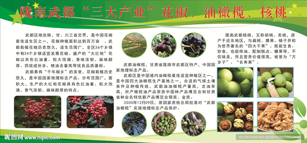 陇南三大宝花椒油橄榄核桃